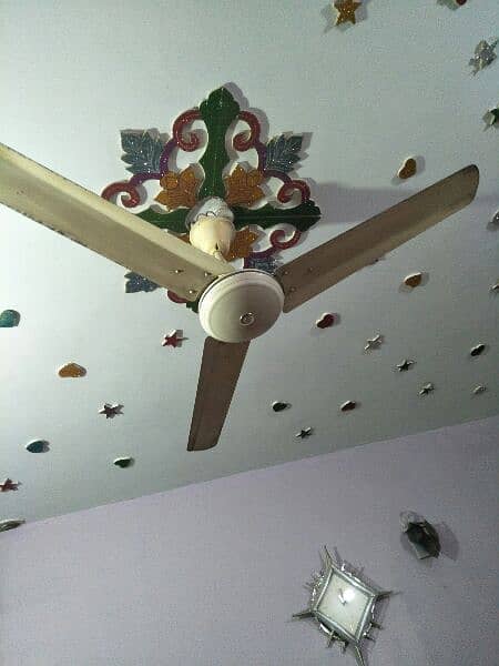 Pak Fan 56" ceiling fan 0