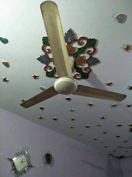 Pak Fan 56" ceiling fan 1