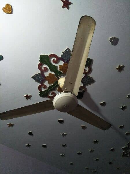 Pak Fan 56" ceiling fan 5
