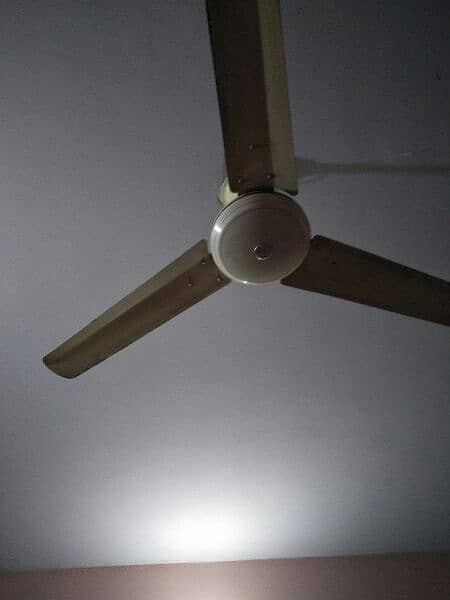 Pak Fan 56" ceiling fan 6