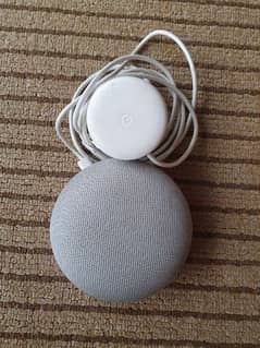 Google Nest Mini 2nd Generation Smart Speaker