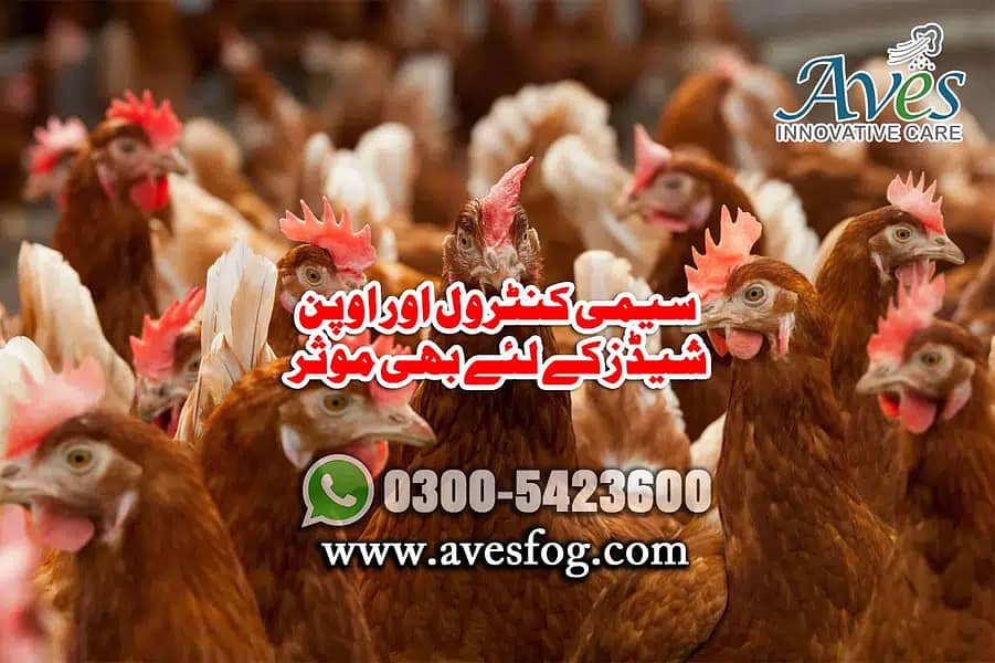 Humidity in poultry/Water mist system/Fog System/Nami wala system 7