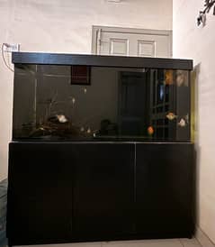 Aquarium Complete setup 0