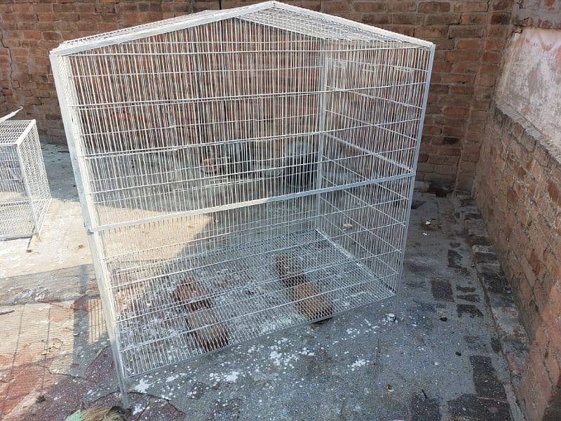 colony cage 5