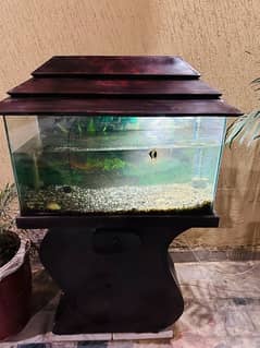 Fish Aquarium with stand.