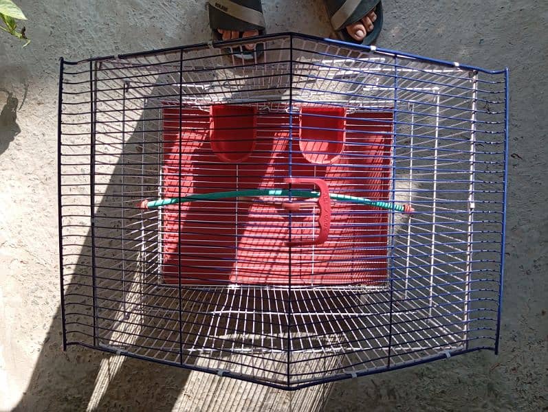 New Birds Cage 1.5*1.5 ft 3