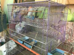 loot sale of birds piggne  cage in purple colour