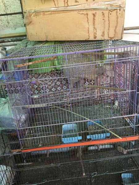 loot sale of birds piggne  cage in purple colour 2