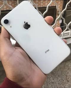 iPhone XR physical dual sim 128GB pta approved