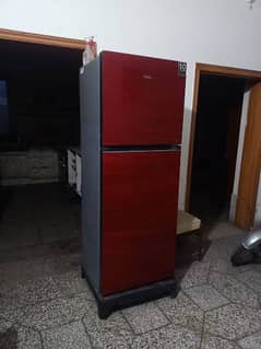 Haier glass door fridge in red colour full size with glass shells.