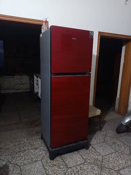 Haier glass door fridge in red colour full size with glass shells. 0