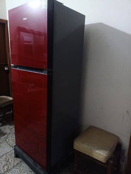 Haier glass door fridge in red colour full size with glass shells. 1