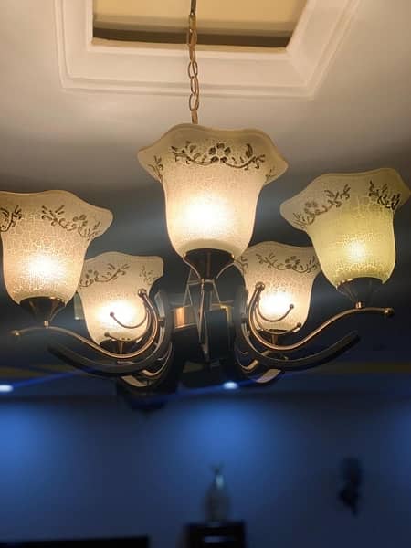 the chandelier ,fanoos ,lamp 2