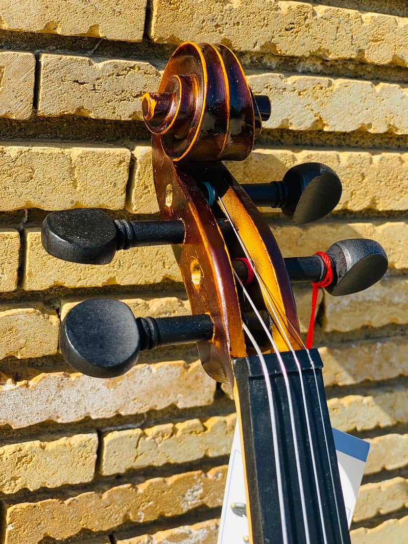 Violin 4/4 Solid Wood Matte Violin Beautiful Appearance Violin 4