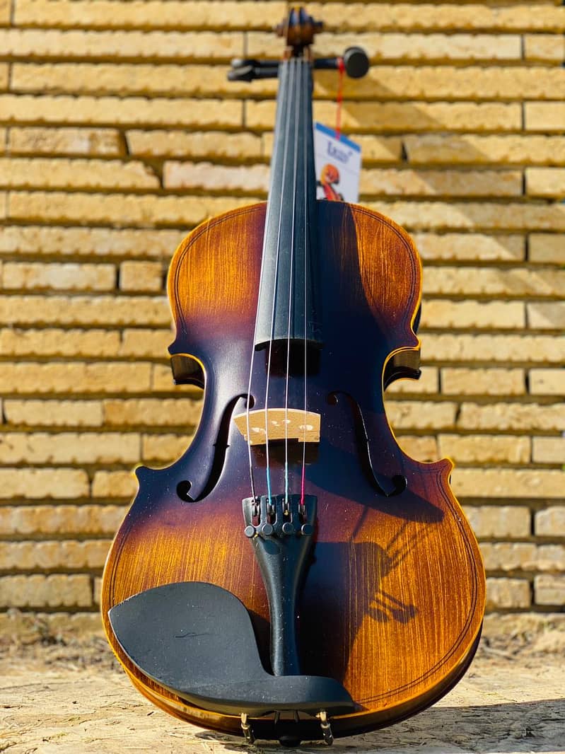 Violin 4/4 Solid Wood Matte Violin Beautiful Appearance Violin 5