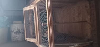 Parrots Cage paki wood ka