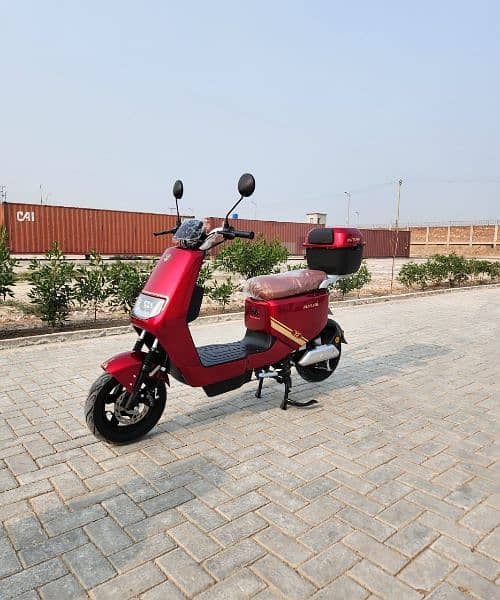 Electric Scootys at Factory Price 4