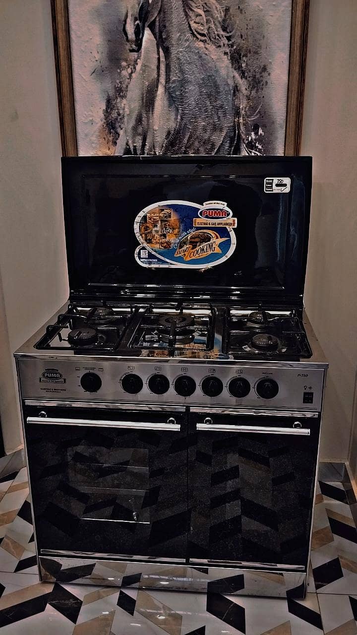 Brand New Cooking Range with Oven / PUMA P-750. 6