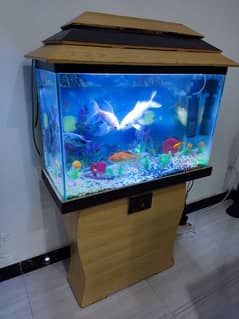 Olx aquarium hot sale