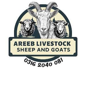 AREEB LIVE STOCK 
