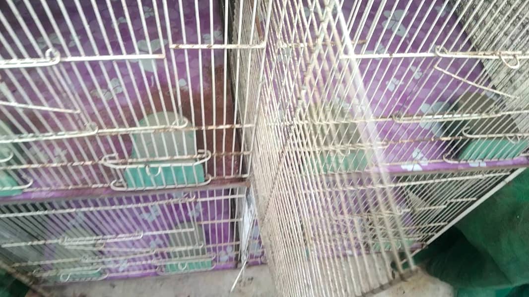 5 Portion Cage New for Love birds , Coctail, Finches , Ringneck , Bajr 1