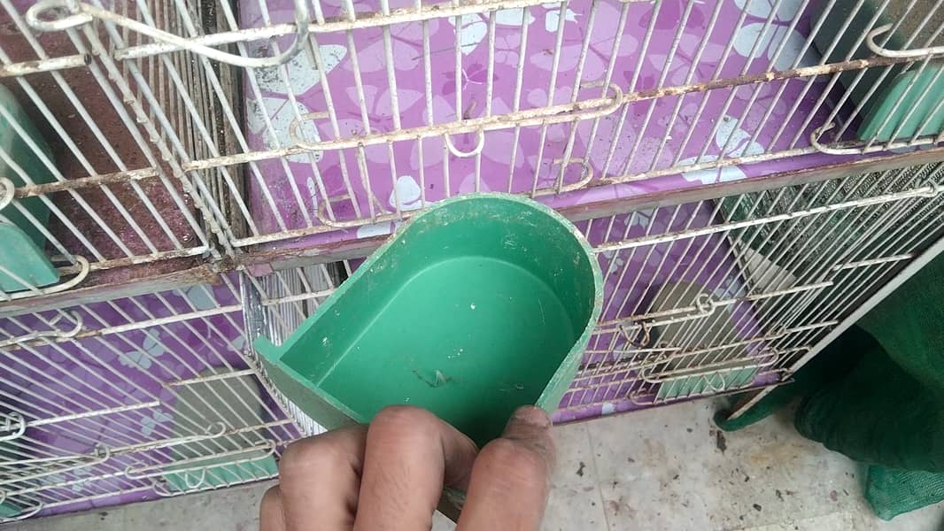 5 Portion Cage New for Love birds , Coctail, Finches , Ringneck , Bajr 3