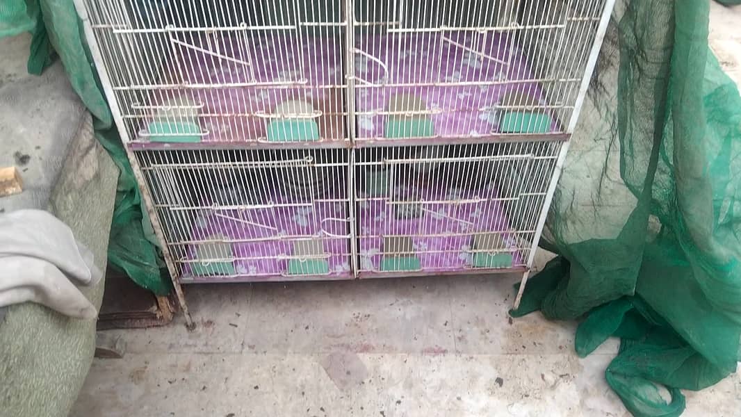 5 Portion Cage New for Love birds , Coctail, Finches , Ringneck , Bajr 4