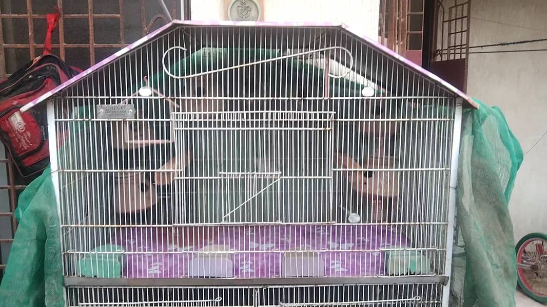 5 Portion Cage New for Love birds , Coctail, Finches , Ringneck , Bajr 5