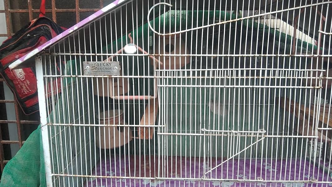5 Portion Cage New for Love birds , Coctail, Finches , Ringneck , Bajr 8