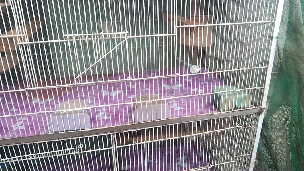 5 Portion Cage New for Love birds , Coctail, Finches , Ringneck , Bajr 10