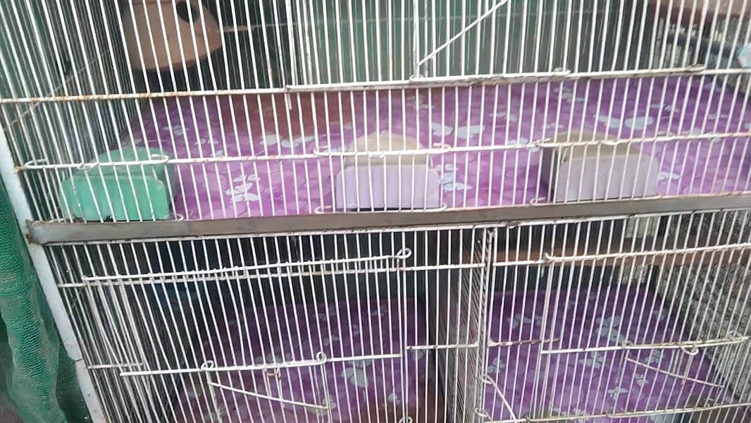 5 Portion Cage New for Love birds , Coctail, Finches , Ringneck , Bajr 11