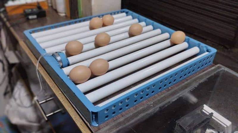 Egg rolling tray for automatic Incubator 2