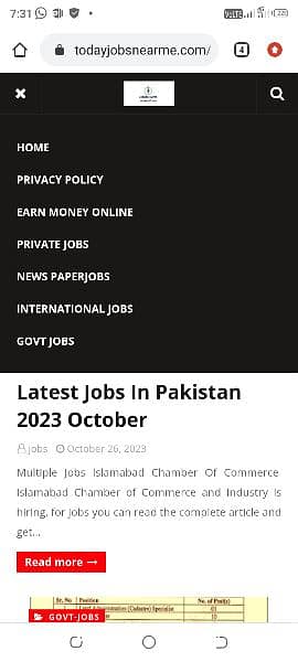 Create Your Bloger Website and WordPress Website