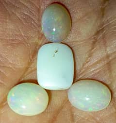 Opal Marjan Fossil Coral Stone Original Australian