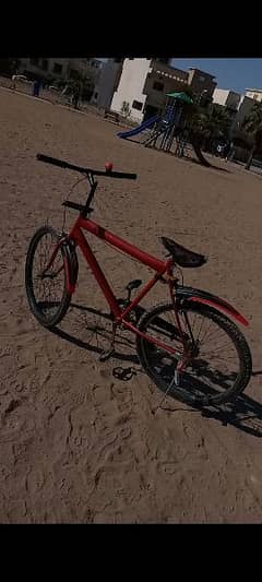 Phoenix Bicycle