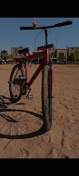 Phoenix Bicycle 2