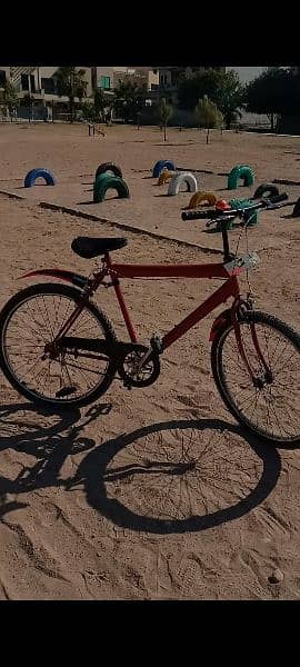 Phoenix Bicycle 3