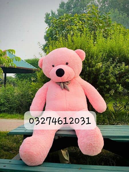 Teddy bear available /Different size/Different color 1