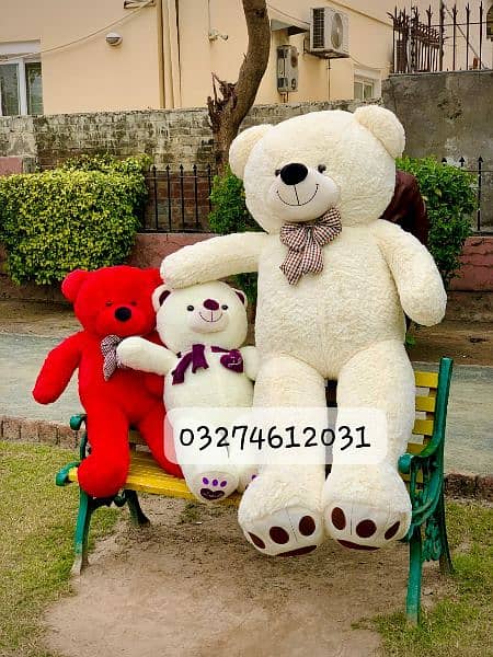 Teddy bear available /Different size/Different color 2