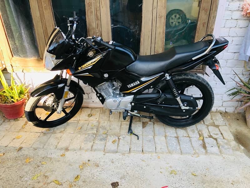 yamaha ybr 125 2