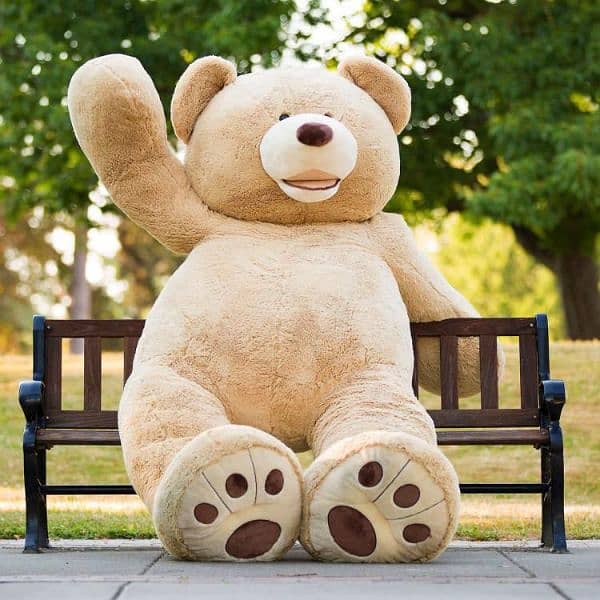 imported stuff American teddy bear all size available 03060435722 11