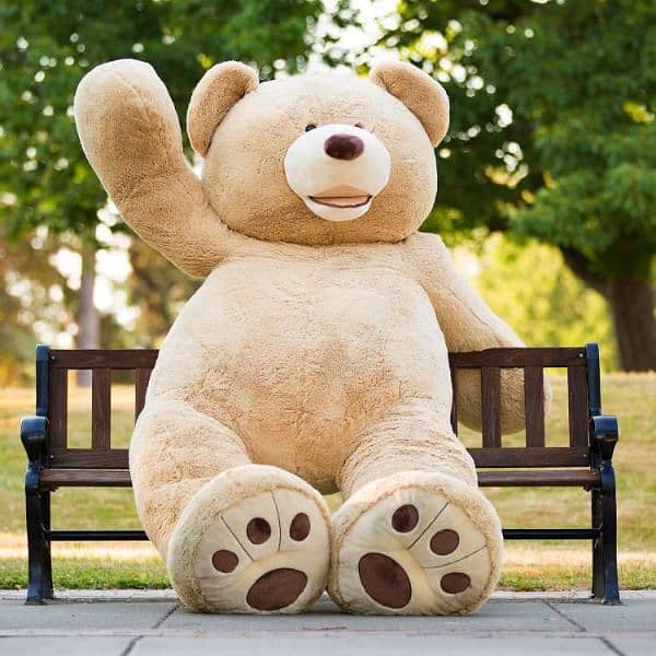 imported stuff American teddy bear All size available 03060435722 12