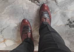 formal shoes size 8 and UK 42 0315/6234/093