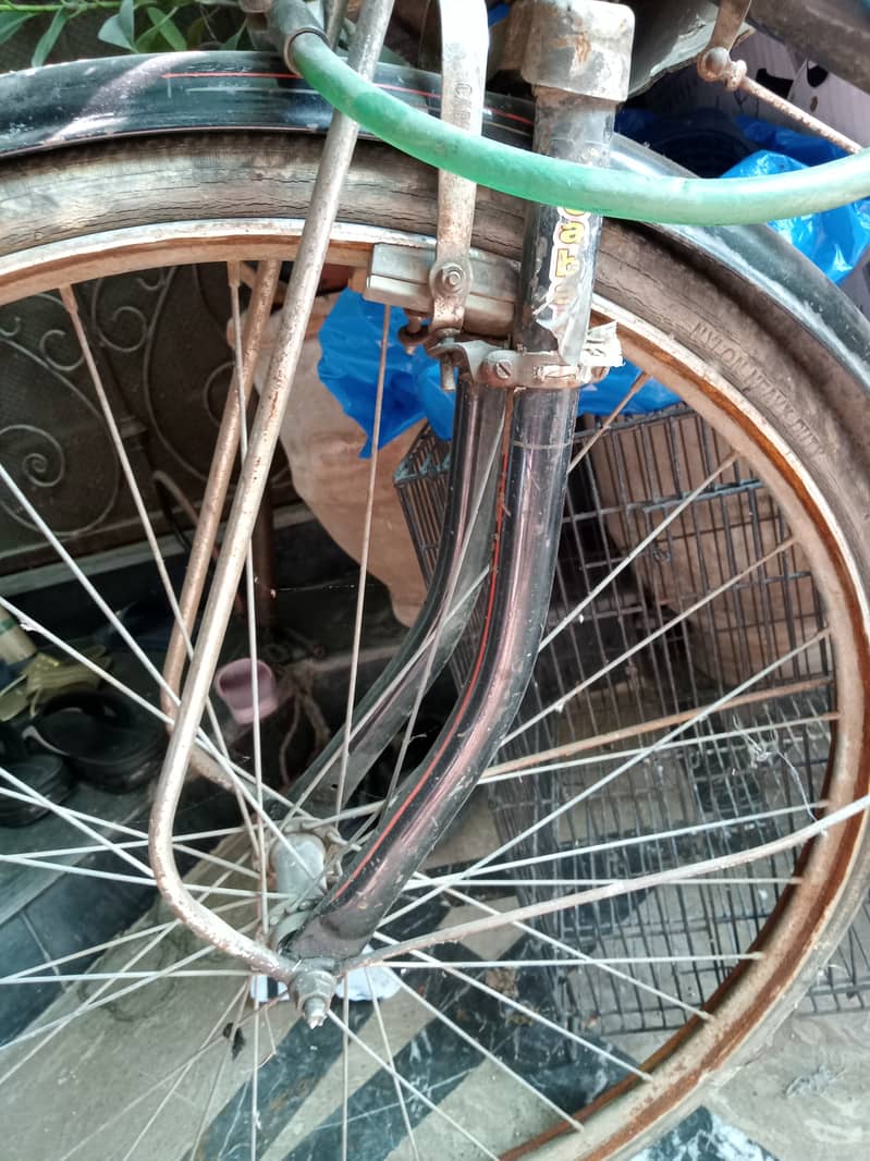 Baba cycle, caballo imported Indian bicycle 1