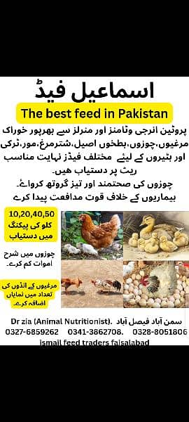 poultry feed & wanda (aseel,desi,ducks,desi,cow,goat,13) 2