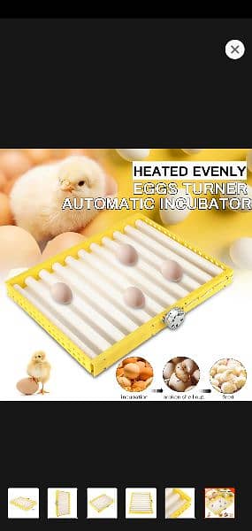egg auto rolling tray 1