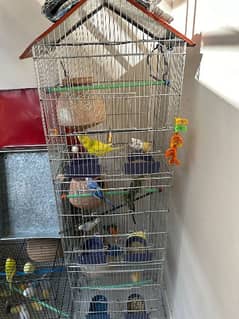 Bird Cage, 3 Shelves and 1 cage, both Only cage no birds