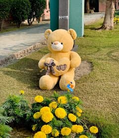 teddy bear doll kids toy.