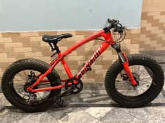 FAT BIKE