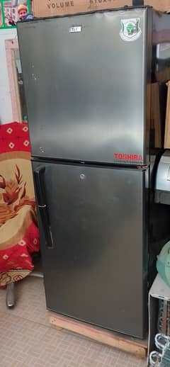 Toshiba medium size refrigerator